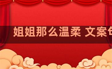 姐姐那么温柔 文案句子